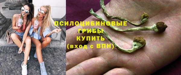 ALPHA PVP Алексин