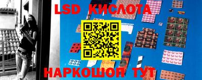 МДПВ Бийск