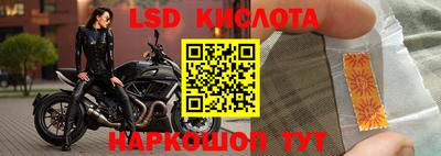 МДПВ Бийск
