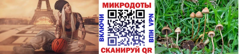 Галлюциногенные грибы Psilocybe  kraken ТОР  Балабаново 