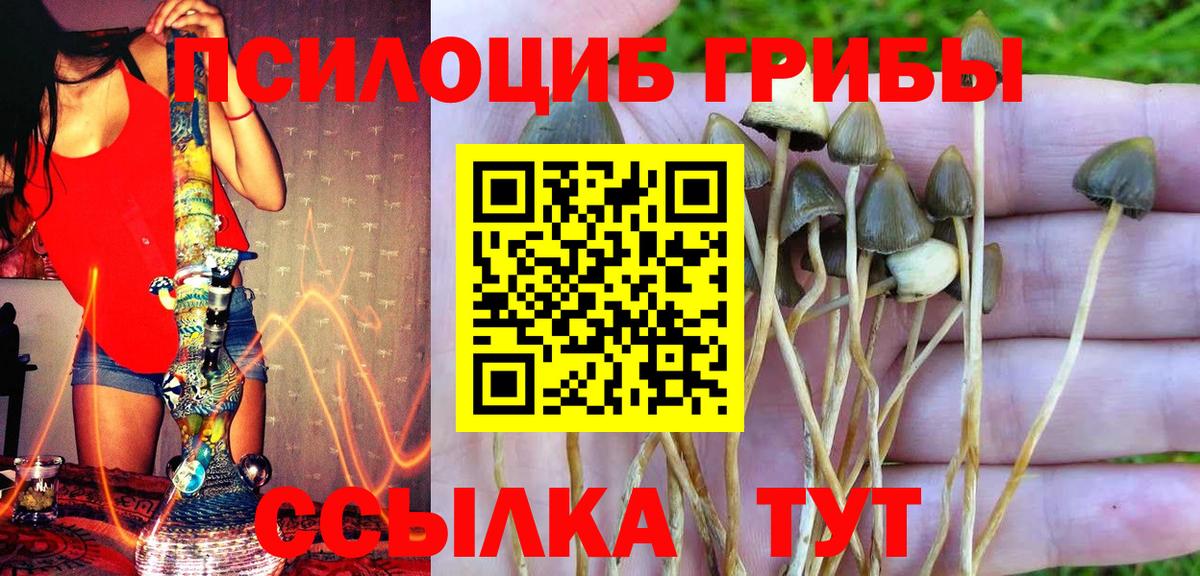 наркошоп  Псилоцибиновые грибы Psilocybine cubensis  Балабаново  Вход с VPN  Галлюциногенные грибы Cubensis 
